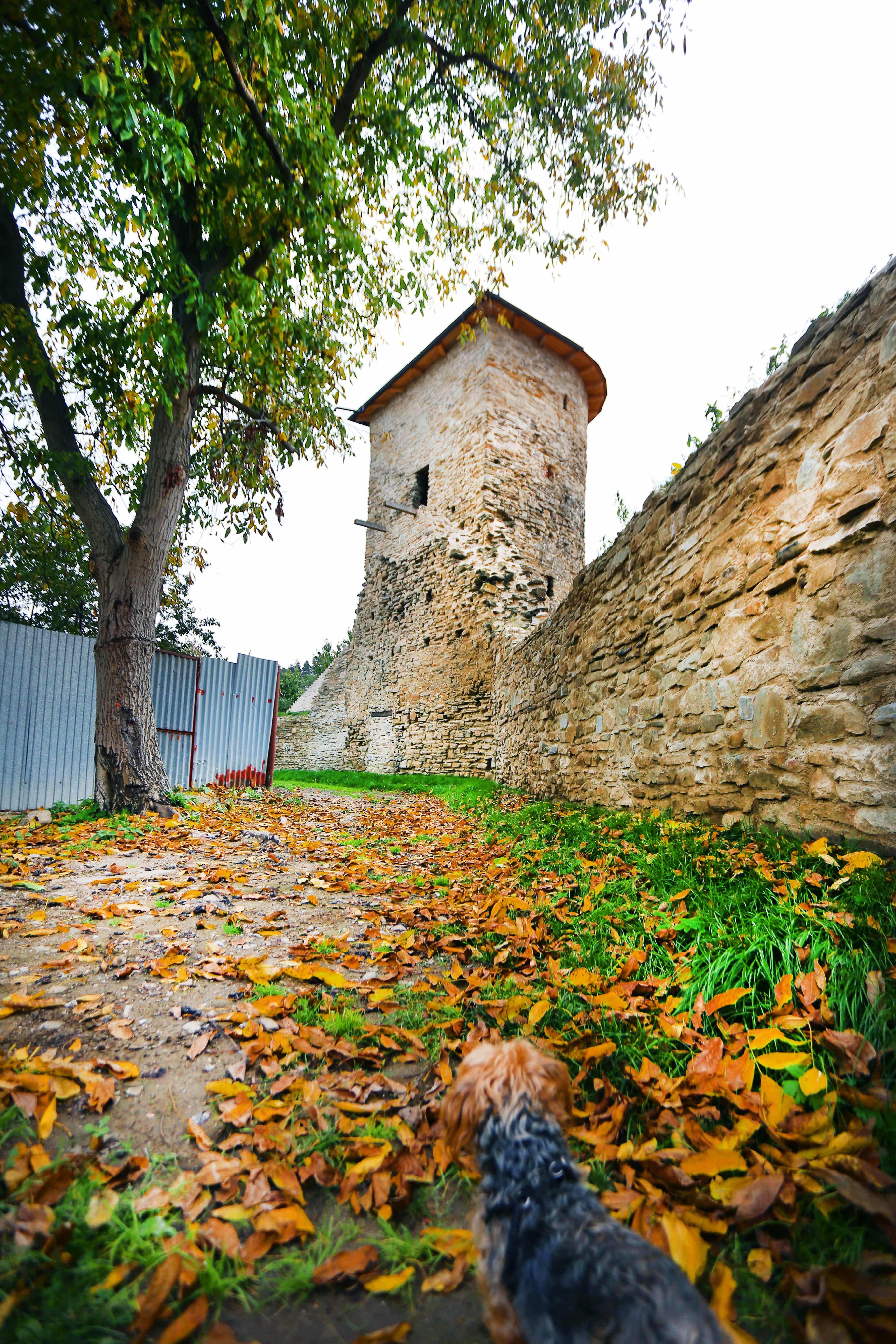 Town Bastions in Sabinov – photo 4