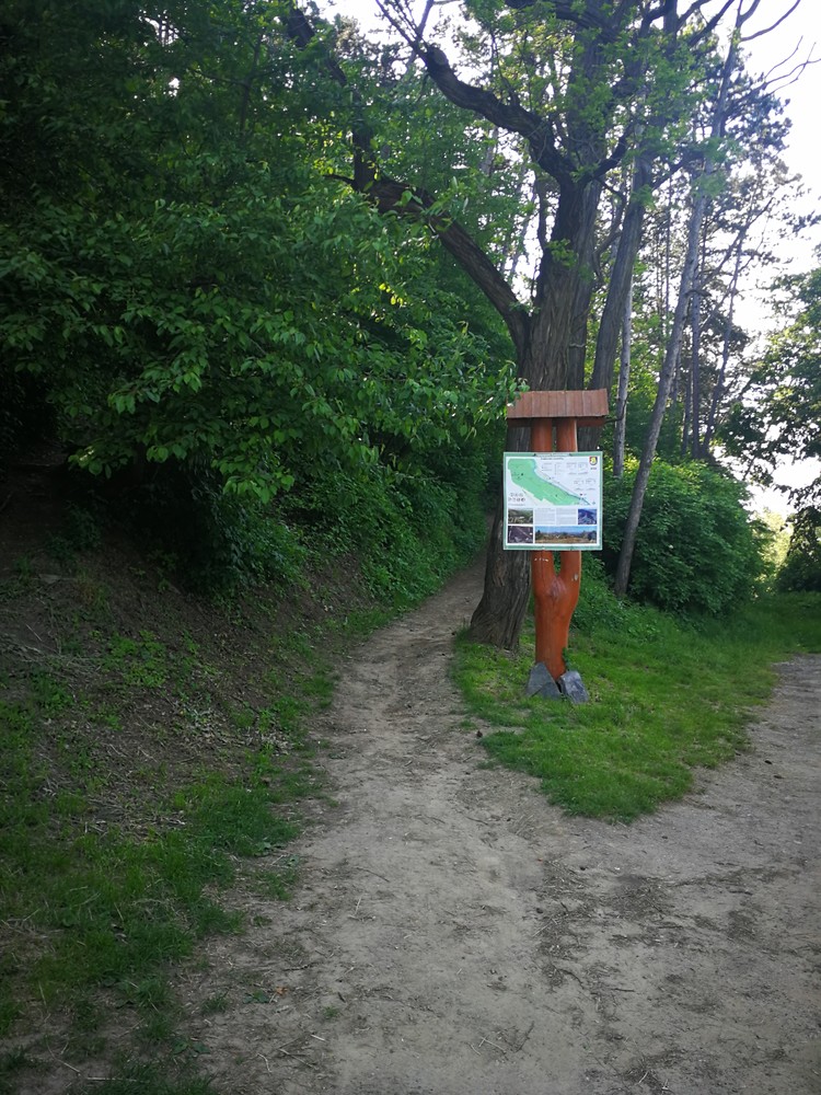 Lesopark Švabľovka v Sabinove – fotografia 5